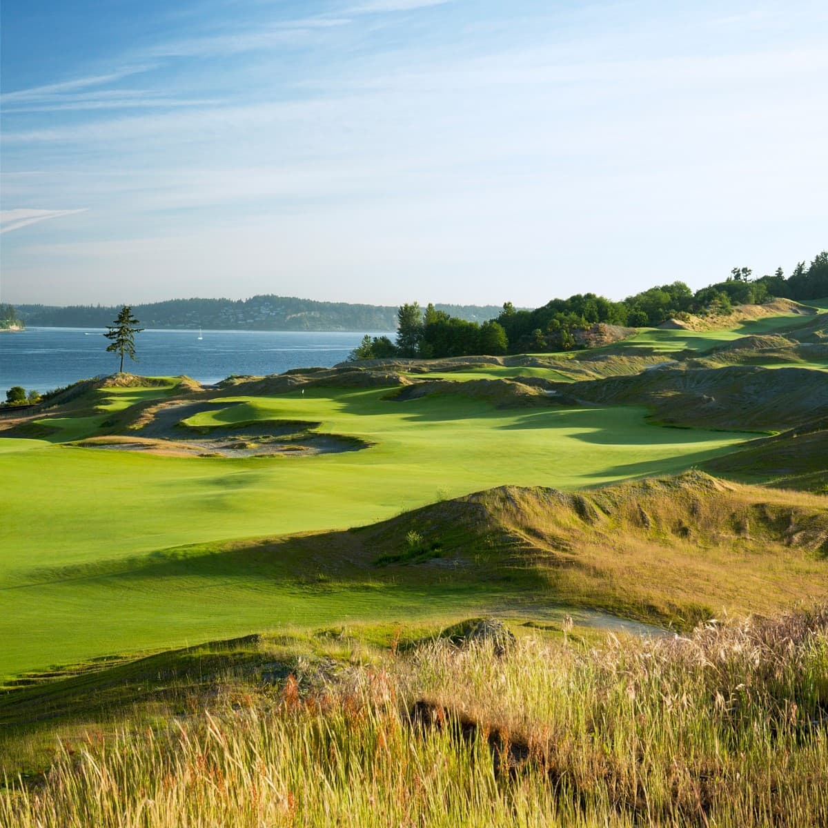 Shot of lush, green gulf course that overlooks the harbor.