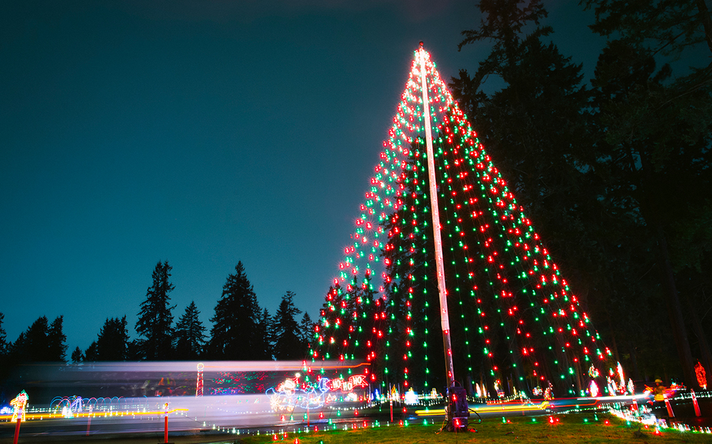 Bright and colorful holiday lights.